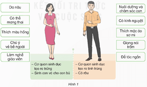 Giáo án Khoa học lớp 5 Kết nối tri thức Bài 24: Nam và nữ