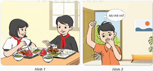 Giáo án Khoa học lớp 5 Kết nối tri thức Bài 25: Chăm sóc sức khoẻ tuổi dậy thì