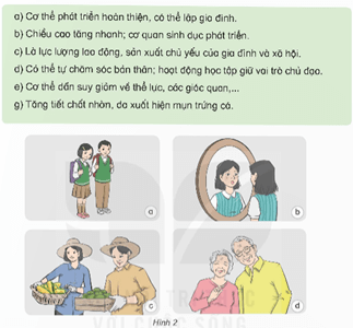 Giáo án Khoa học lớp 5 Kết nối tri thức Bài 27: Ôn tập chủ đề Con người và sức khoẻ