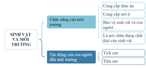 Giáo án Khoa học lớp 5 Kết nối tri thức Bài 30: Ôn tập chủ đề Sinh vật và môi trường