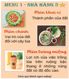 Giáo án Khoa học lớp 5 Kết nối tri thức Bài 6: Ôn tập chủ đề Chất