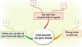 Giáo án Khoa học lớp 5 Cánh diều Ôn tập chủ đề Con người và sức khỏe