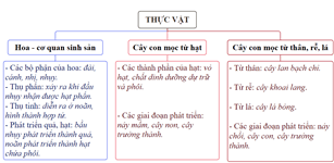 Giáo án Khoa học lớp 5 Cánh diều Ôn tập chủ đề Thực vật và động vật
