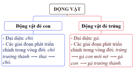 Giáo án Khoa học lớp 5 Cánh diều Ôn tập chủ đề Thực vật và động vật