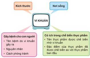 Giáo án Khoa học lớp 5 Cánh diều Ôn tập chủ đề Vi khuẩn