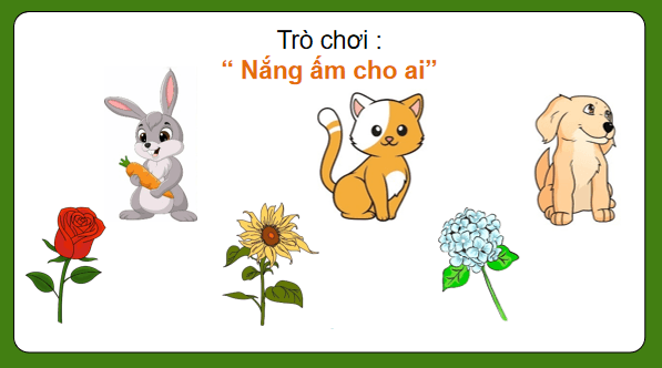 Giáo án điện tử Khoa học lớp 5 Kết nối tri thức Bài 11: Sử dụng năng lượng mặt trời, năng lượng gió, năng lượng nước chảy | PPT Khoa học 5
