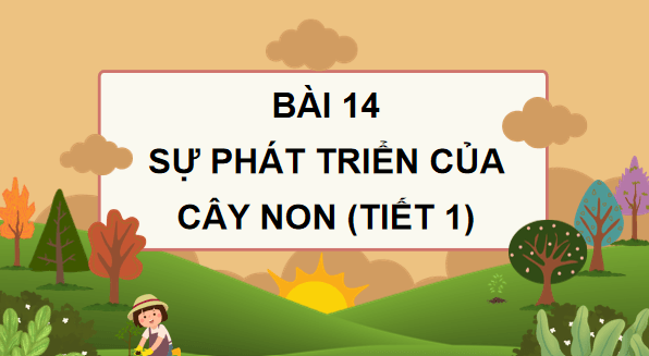 Giáo án điện tử Khoa học lớp 5 Kết nối tri thức Bài 14: Sự phát triển của cây con | PPT Khoa học 5