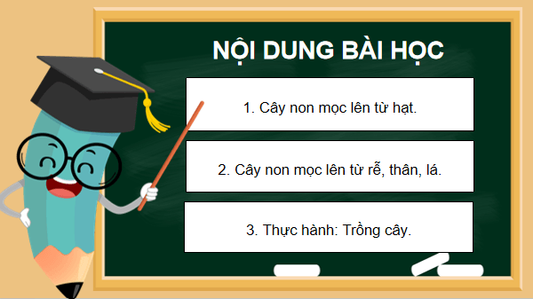 Giáo án điện tử Khoa học lớp 5 Kết nối tri thức Bài 14: Sự phát triển của cây con | PPT Khoa học 5