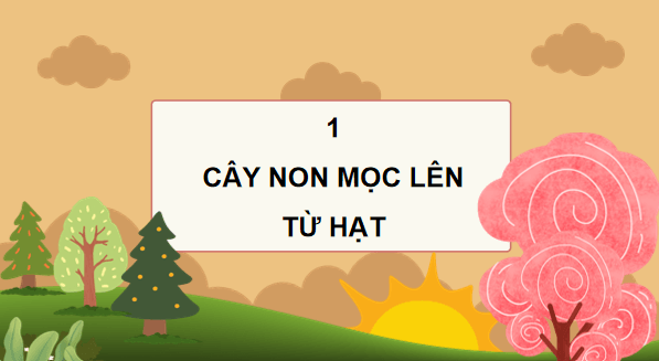 Giáo án điện tử Khoa học lớp 5 Kết nối tri thức Bài 14: Sự phát triển của cây con | PPT Khoa học 5