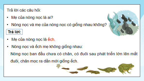 Giáo án điện tử Khoa học lớp 5 Kết nối tri thức Bài 16: Vòng đời và sự phát triển của động vật | PPT Khoa học 5