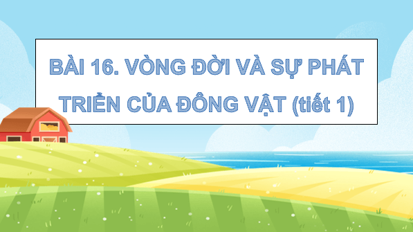 Giáo án điện tử Khoa học lớp 5 Kết nối tri thức Bài 16: Vòng đời và sự phát triển của động vật | PPT Khoa học 5
