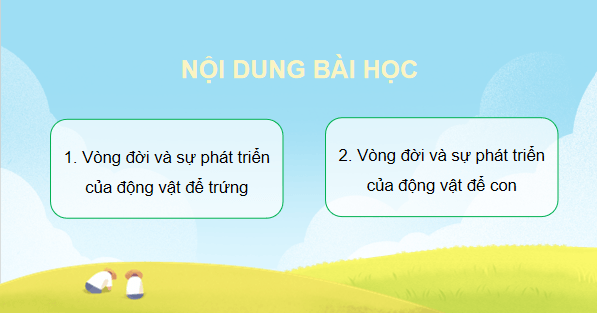 Giáo án điện tử Khoa học lớp 5 Kết nối tri thức Bài 16: Vòng đời và sự phát triển của động vật | PPT Khoa học 5