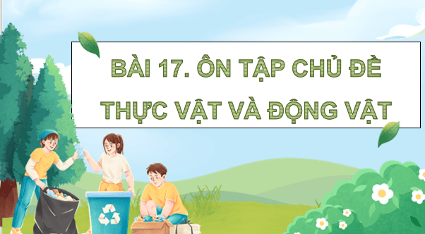 Giáo án điện tử Khoa học lớp 5 Kết nối tri thức Bài 17: Ôn tập chủ đề Thực vật và động vật | PPT Khoa học 5