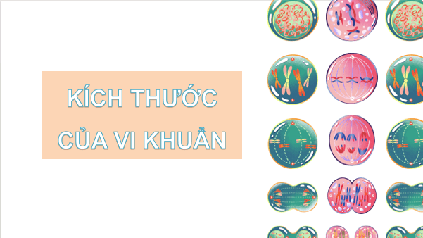 Giáo án điện tử Khoa học lớp 5 Kết nối tri thức Bài 18: Vi khuẩn xung quanh chúng ta | PPT Khoa học 5