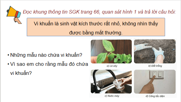 Giáo án điện tử Khoa học lớp 5 Kết nối tri thức Bài 18: Vi khuẩn xung quanh chúng ta | PPT Khoa học 5