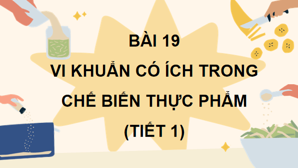 Giáo án điện tử Khoa học lớp 5 Kết nối tri thức Bài 19: Vi khuẩn có ích trong chế biến thực phẩm | PPT Khoa học 5
