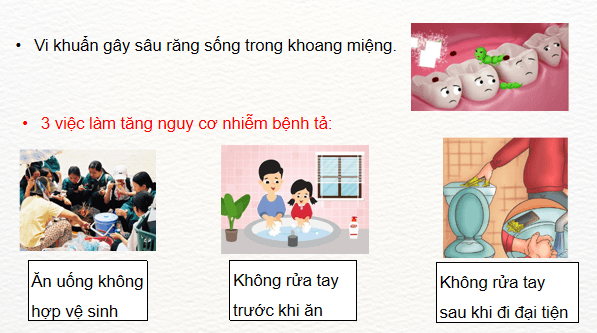 Giáo án điện tử Khoa học lớp 5 Kết nối tri thức Bài 21: Ôn tập chủ đề Vi khuẩn | PPT Khoa học 5