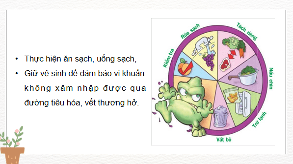 Giáo án điện tử Khoa học lớp 5 Kết nối tri thức Bài 21: Ôn tập chủ đề Vi khuẩn | PPT Khoa học 5