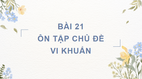 Giáo án điện tử Khoa học lớp 5 Kết nối tri thức Bài 21: Ôn tập chủ đề Vi khuẩn | PPT Khoa học 5