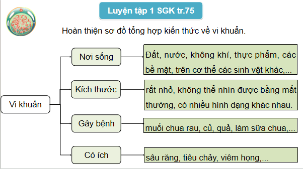 Giáo án điện tử Khoa học lớp 5 Kết nối tri thức Bài 21: Ôn tập chủ đề Vi khuẩn | PPT Khoa học 5
