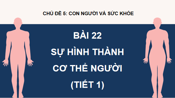 Giáo án điện tử Khoa học lớp 5 Kết nối tri thức Bài 22: Sự hình thành cơ thể người | PPT Khoa học 5