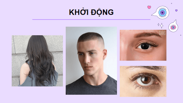 Giáo án điện tử Khoa học lớp 5 Kết nối tri thức Bài 24: Nam và nữ | PPT Khoa học 5