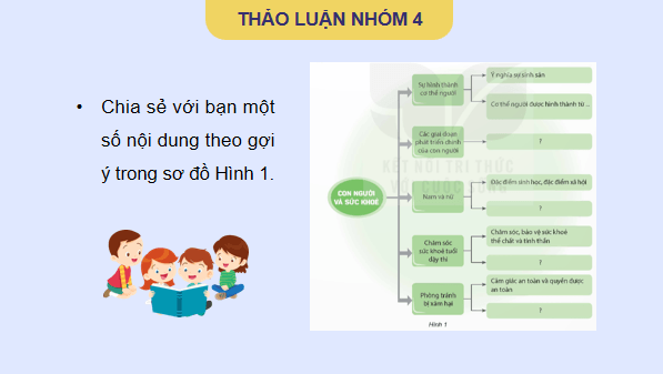 Giáo án điện tử Khoa học lớp 5 Kết nối tri thức Bài 27: Ôn tập chủ đề Con người và sức khoẻ | PPT Khoa học 5