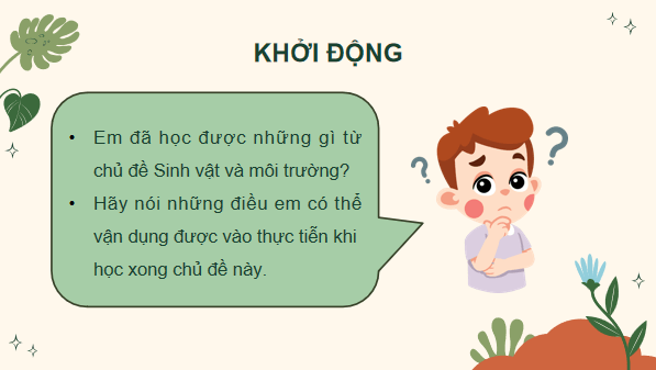 Giáo án điện tử Khoa học lớp 5 Kết nối tri thức Bài 30: Ôn tập chủ đề Sinh vật và môi trường | PPT Khoa học 5