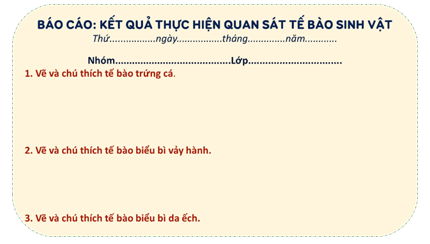 Giáo án KHTN 6 Chân trời sáng tạo Bài 18: Thực hành quan sát tế bào sinh vật | Giáo án Khoa học tự nhiên 6