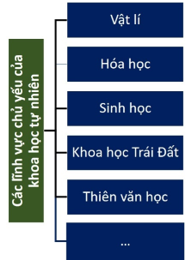 Giáo án KHTN 6 Chân trời sáng tạo Bài 2: Các lĩnh vực chủ yếu của khoa học tự nhiên | Giáo án Khoa học tự nhiên 6