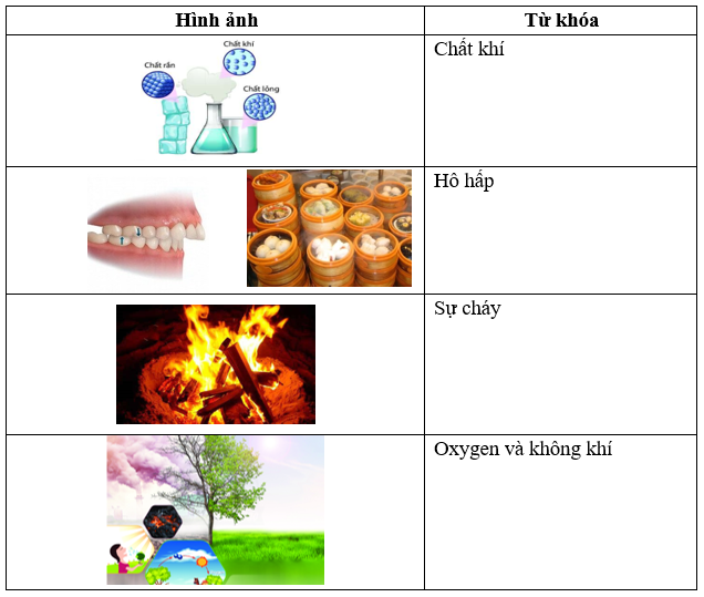 Giáo án KHTN 6 Chân trời sáng tạo Bài 9: Oxygen | Giáo án Khoa học tự nhiên 6