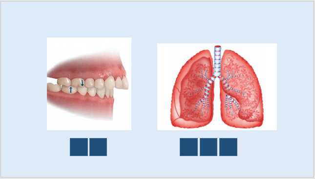 Giáo án điện tử KNTN 6 Kết nối tri thức Bài 11: Oxygen. Không khí | PPT Khoa học tự nhiên 6