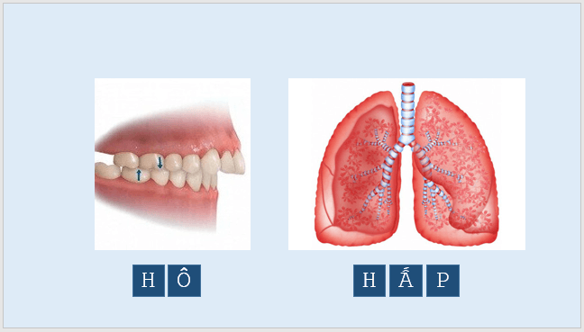 Giáo án điện tử KNTN 6 Kết nối tri thức Bài 11: Oxygen. Không khí | PPT Khoa học tự nhiên 6