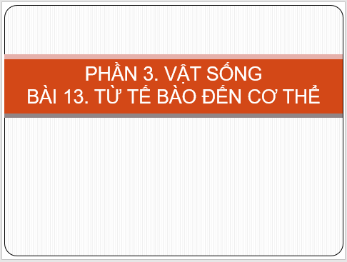 Giáo án điện tử KNTN 6 Cánh diều Bài 13: Từ tế bào đến cơ thể | PPT Khoa học tự nhiên 6