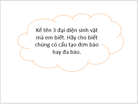 Giáo án điện tử KNTN 6 Cánh diều Bài 13: Từ tế bào đến cơ thể | PPT Khoa học tự nhiên 6