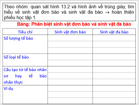 Giáo án điện tử KNTN 6 Cánh diều Bài 13: Từ tế bào đến cơ thể | PPT Khoa học tự nhiên 6