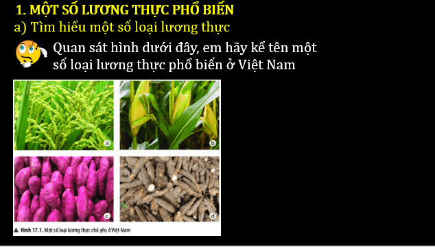 Giáo án điện tử KNTN 6 Chân trời sáng tạo Bài 14: Một số lương thực – thực phẩm | PPT Khoa học tự nhiên 6