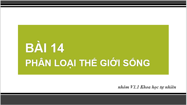 Giáo án điện tử KNTN 6 Cánh diều Bài 14: Phân loại thế giới sống | PPT Khoa học tự nhiên 6