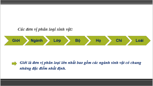 Giáo án điện tử KNTN 6 Cánh diều Bài 14: Phân loại thế giới sống | PPT Khoa học tự nhiên 6