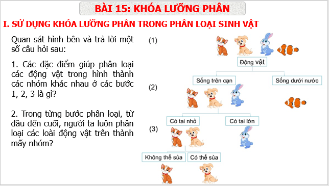 Giáo án điện tử KNTN 6 Cánh diều Bài 15: Khóa lưỡng phân | PPT Khoa học tự nhiên 6