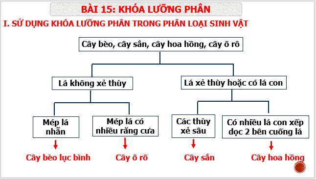 Giáo án điện tử KNTN 6 Cánh diều Bài 15: Khóa lưỡng phân | PPT Khoa học tự nhiên 6