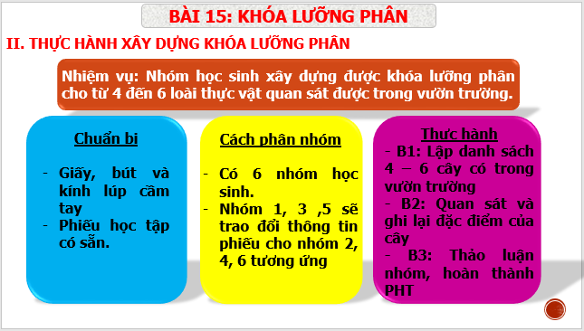 Giáo án điện tử KNTN 6 Cánh diều Bài 15: Khóa lưỡng phân | PPT Khoa học tự nhiên 6