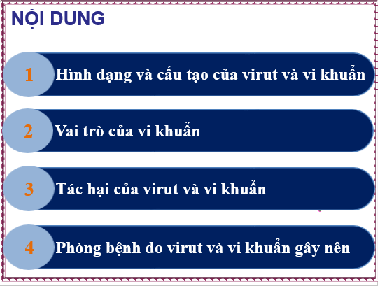 Giáo án điện tử KNTN 6 Cánh diều Bài 16: Virus và vi khuẩn | PPT Khoa học tự nhiên 6