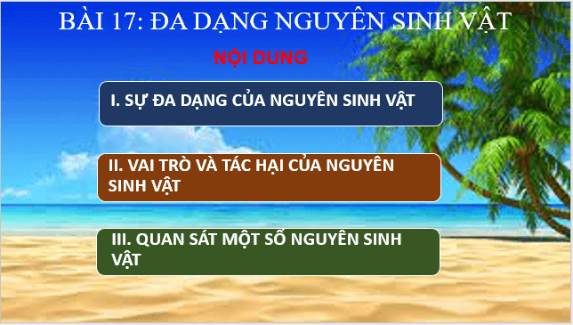 Giáo án điện tử KNTN 6 Cánh diều Bài 17: Đa dạng nguyên sinh vật | PPT Khoa học tự nhiên 6