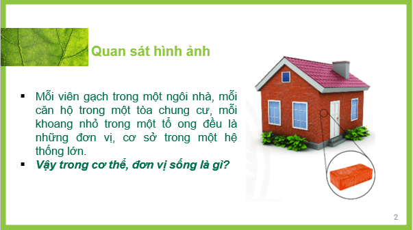 Giáo án điện tử KNTN 6 Chân trời sáng tạo Bài 17: Tế bào | PPT Khoa học tự nhiên 6