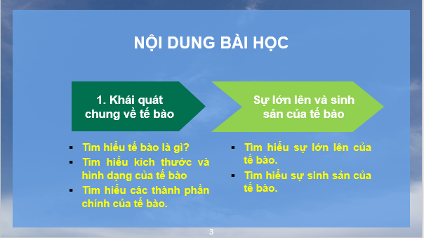 Giáo án điện tử KNTN 6 Chân trời sáng tạo Bài 17: Tế bào | PPT Khoa học tự nhiên 6