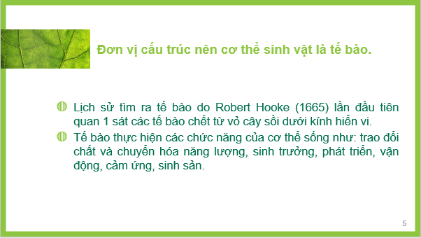 Giáo án điện tử KNTN 6 Chân trời sáng tạo Bài 17: Tế bào | PPT Khoa học tự nhiên 6