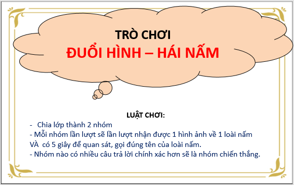 Giáo án điện tử KNTN 6 Cánh diều Bài 18: Đa dạng nấm | PPT Khoa học tự nhiên 6