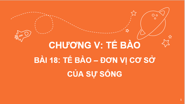 Giáo án điện tử KNTN 6 Kết nối tri thức Bài 18: Tế bào – Đơn vị cơ bản của sự sống | PPT Khoa học tự nhiên 6