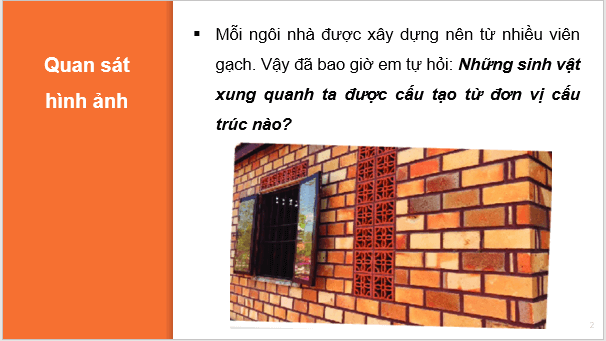 Giáo án điện tử KNTN 6 Kết nối tri thức Bài 18: Tế bào – Đơn vị cơ bản của sự sống | PPT Khoa học tự nhiên 6